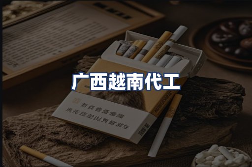 广西越南代工